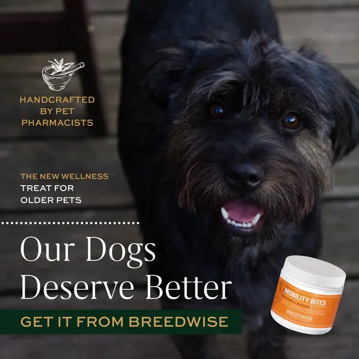 Breedwise Mobility Bites - Our Dogs Deserve Better